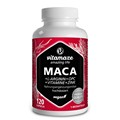 MACA HOCHDOSIERT+L-Arginin+OPC+Vit.Vispura Kapseln