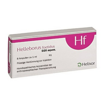 HELLEBORUS FOETIDUS aquos. D 20 Ampullen