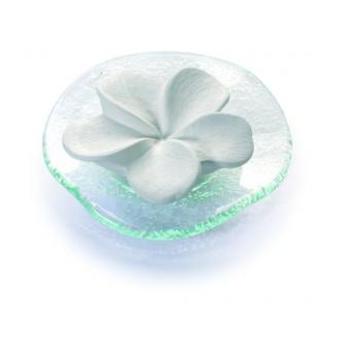 DUFTSTEIN Frangipani Glasteller transparent