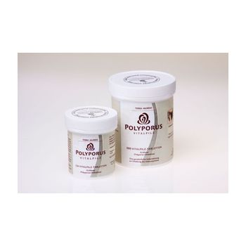POLYPORUS VITALPILZ Terra Mundo Kapseln