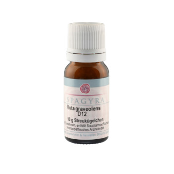 RUTA GRAVEOLENS D 12 Globuli